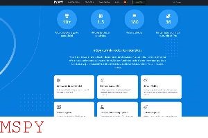 How Well Does Mspy Work