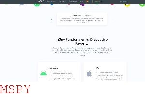 Mspy Purchase