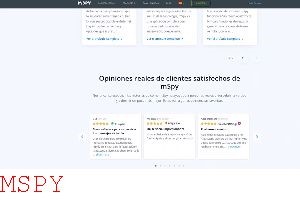 Will Factory Hard Reset Delete Mspy