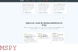 How Is Mspy Used