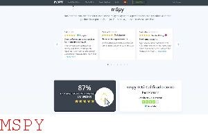 Does Mspy Work on Pc