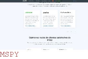 Is Mspy Working