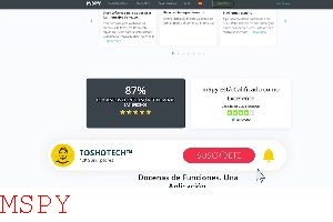 Mspy Premium Price