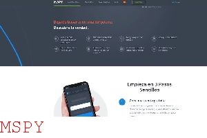 How Can You Install Mspy