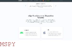 How to Make Mspy Visiable Again