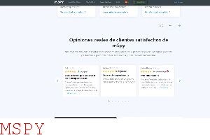 Can Mspy Be Used Without Install on Target Phone