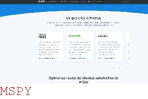 What Is Mspy and Does It Work