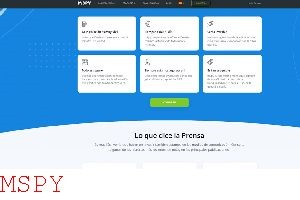 What Does Unauthroized Invalid Api Key Mean in Mspy