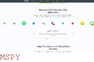 What Can Mspy Track