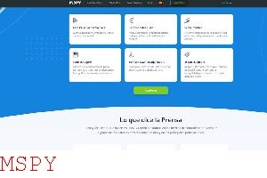 How Much Is Mspy Subscription