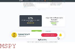 Why Won't Mspy Work