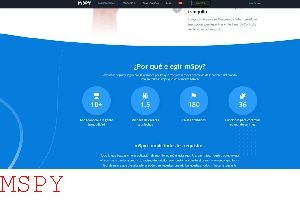 What Does Mspy Control Panel Look Like