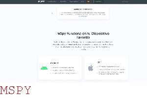 What Is Mspy Software