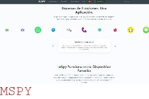 Does Mspy Track Incognito