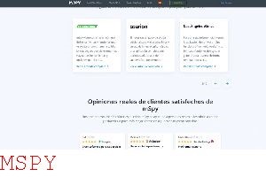 How to Get Mspy to Work