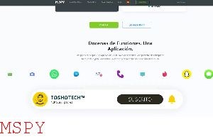 How Much Os Mspy