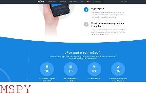 How Can I Secratly Install Mspy