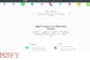 Does Mspy Start Sub After Installing or After Purchase