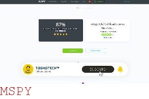 What Is the Cost for Mspy