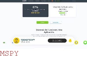 How Does Mspy Install