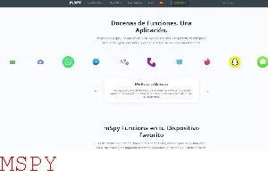 How Does Mspy In