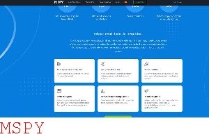 Is Mspy Worth the Price