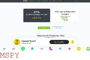 How Do I Use Mspy