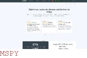 Mspy Download Apk