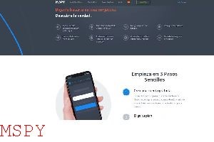 How Is Mspy