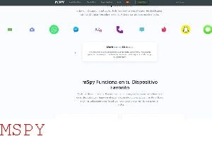 What Is the Cost of Mspy