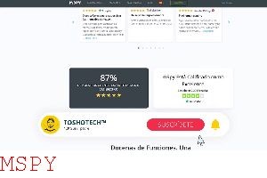 How Do Mspy Works
