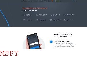 Why Is Mspy So Expensive