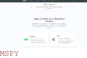 What Can You Do With Mspy
