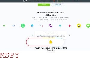 Is Mspy Available in India