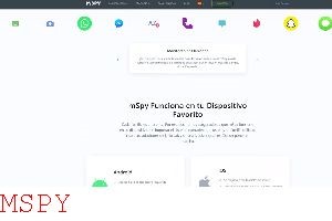 Where Can I Write a Review of Mspy
