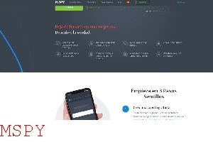 Why Is My Mspy Not Updating