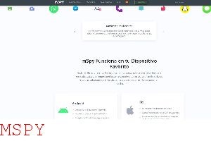 Mspy Does Not Work