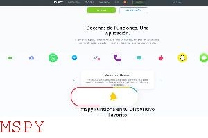 How to Get Around Mspy
