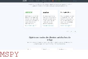 How to Detect Mspy
