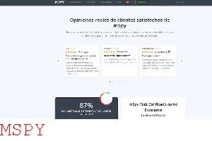 How Much Does Mspy Cost
