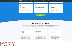 Mspy What Happens After Purchase