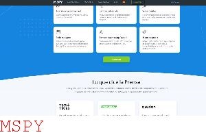 What Is Mspy Basic