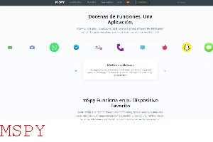 How Long Does It Take to Install Mspy
