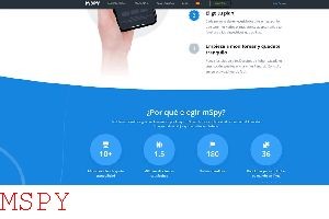 What Do You Use the Private Key for in Mspy