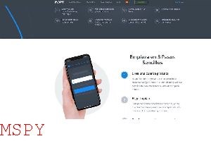How Much Is Mspy for Iphone