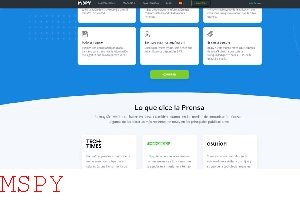 How Do Mspy Work