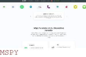 How to Avoid Mspy