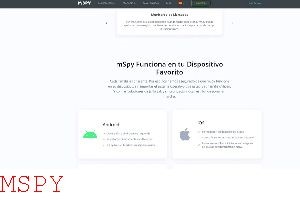 What Is Encrypted Data on Mspy