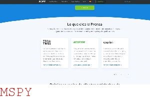 How Does Mspy Work