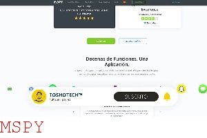 Which Export to Choose With Mspy